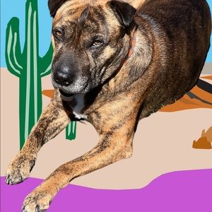 Meet your Posher, Allison